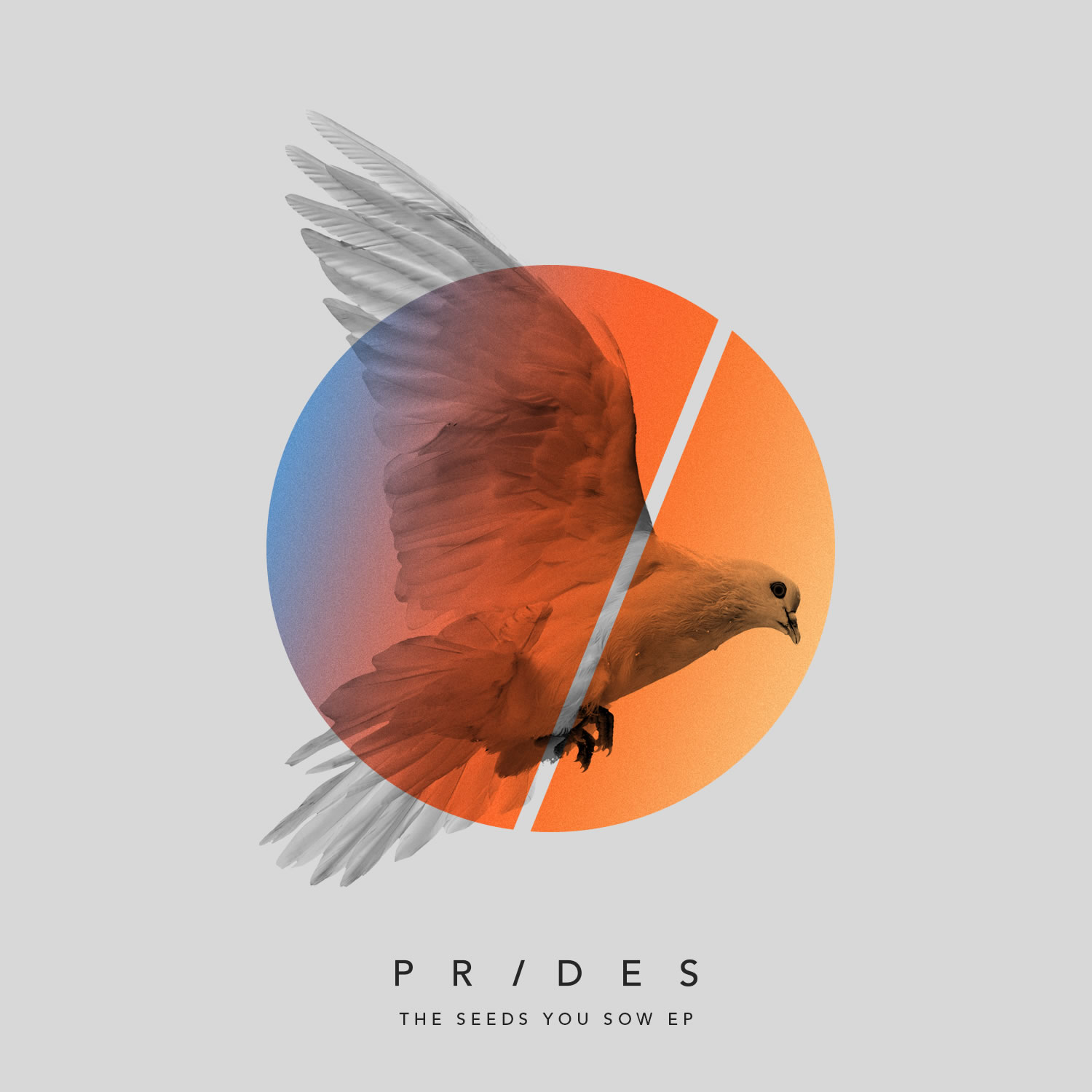 Prides-The-Seeds-You-Sow-EP-ART.jpg