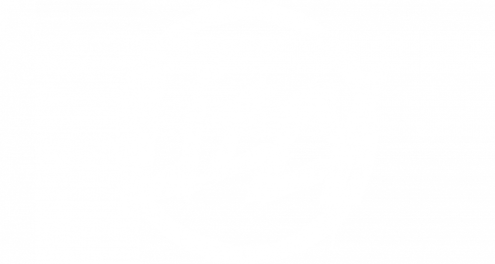 Stay Flee Get Lizzy • Official Website