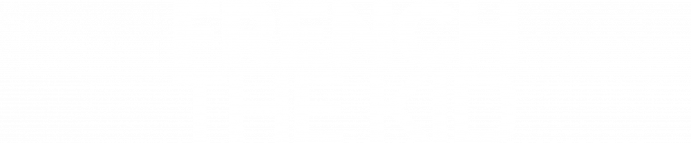 French The Kid •  Official Website