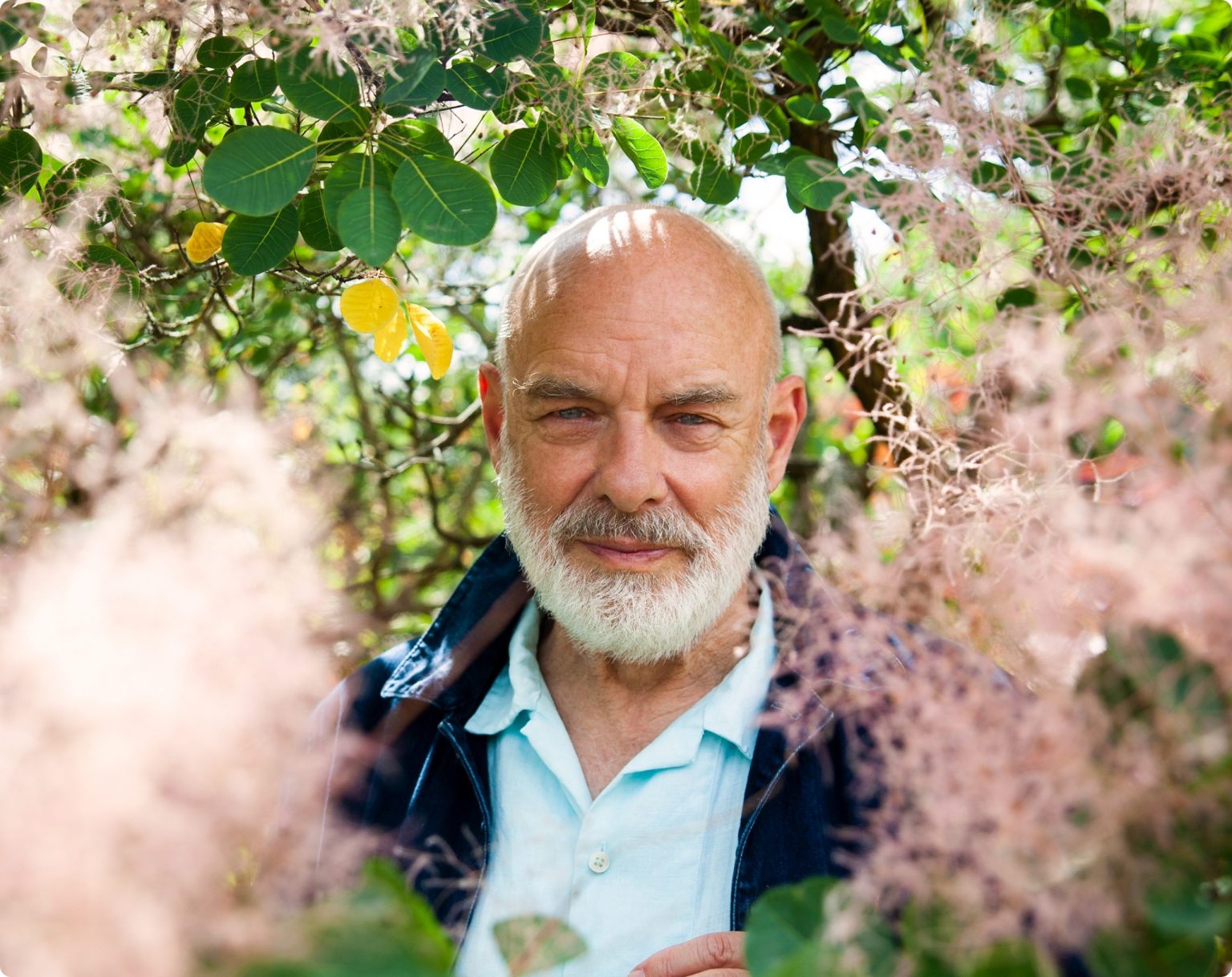 About brian eno