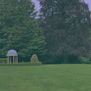 FOR THE HUMANS WHO TAKE LONG WALKS IN THE FOREST