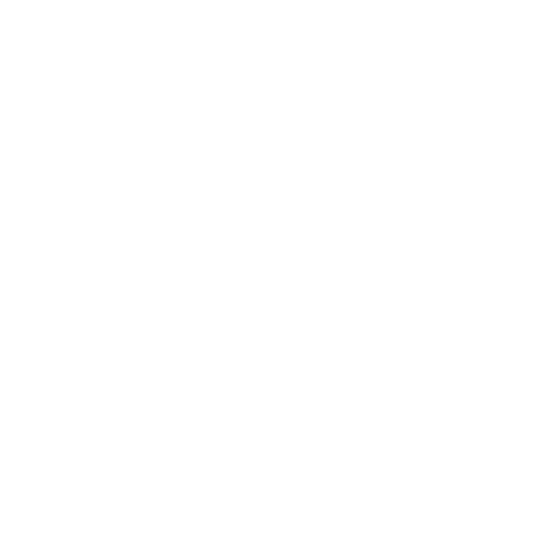 mae-s-logo-white