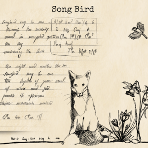 Songbird fox