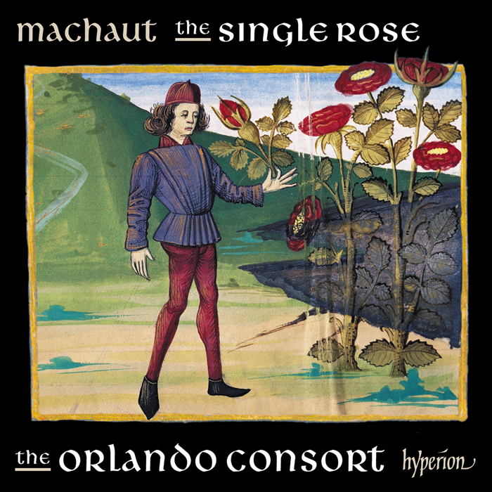 Machaut: The single rose