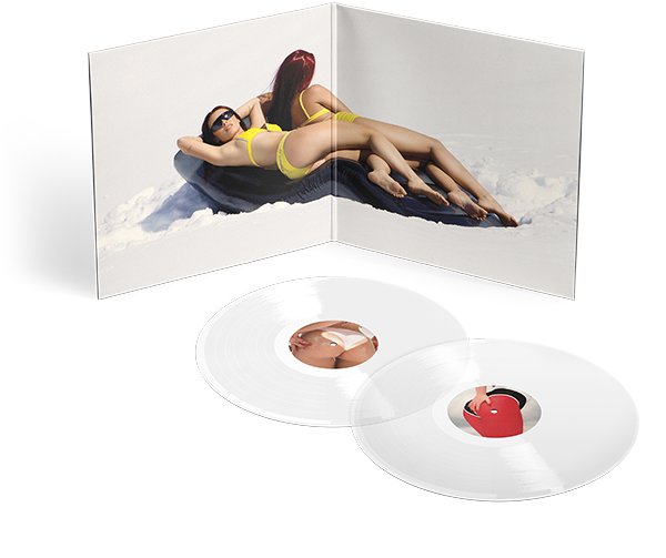 rose-gray-vinyl-inside-2