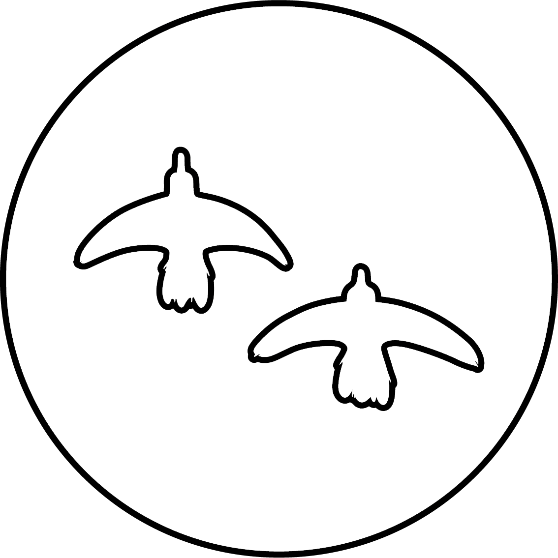 OA_birds-ekkiBG-hvitt-copy