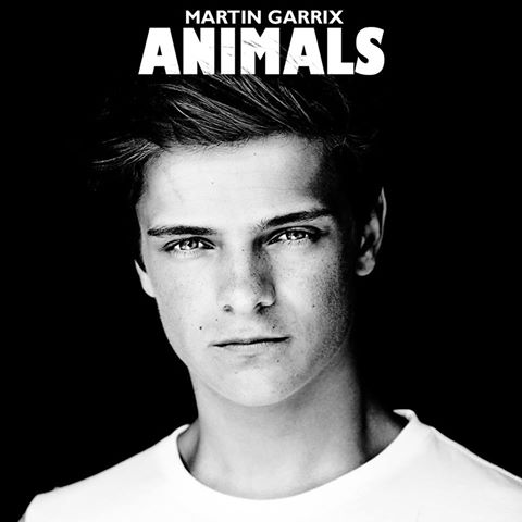 Martin Garrix - Animals - Positiva Records