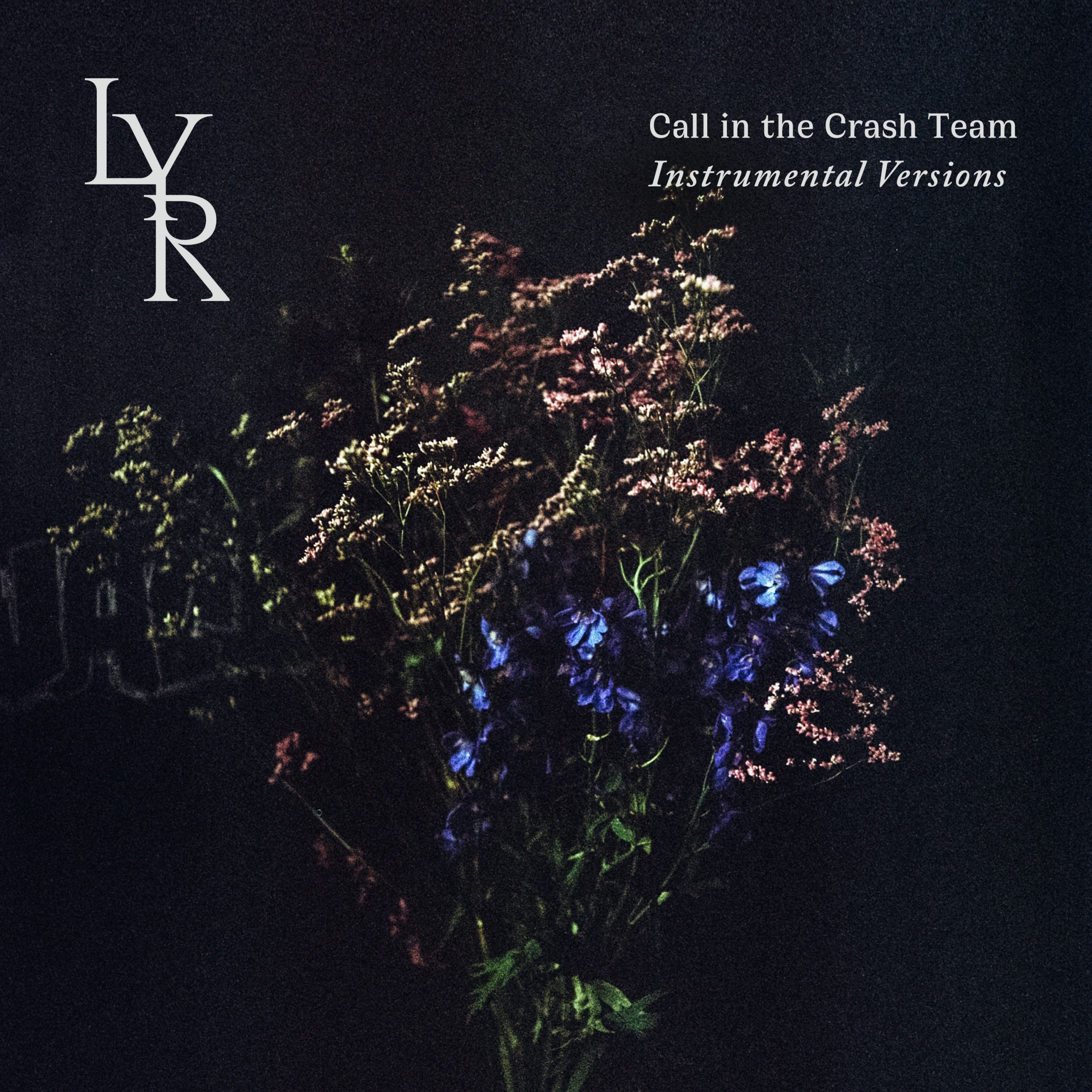 Call In The Crash Team (Instrumental Versions)