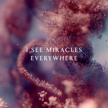 I See Miracles Everywhere - MKX