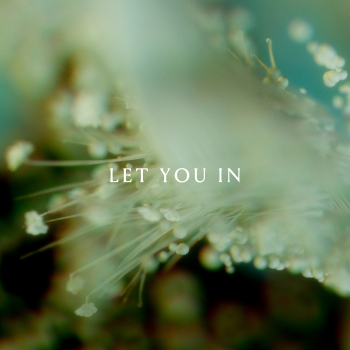 Let You In - MKX