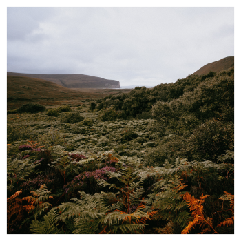 Berriedale - MKX