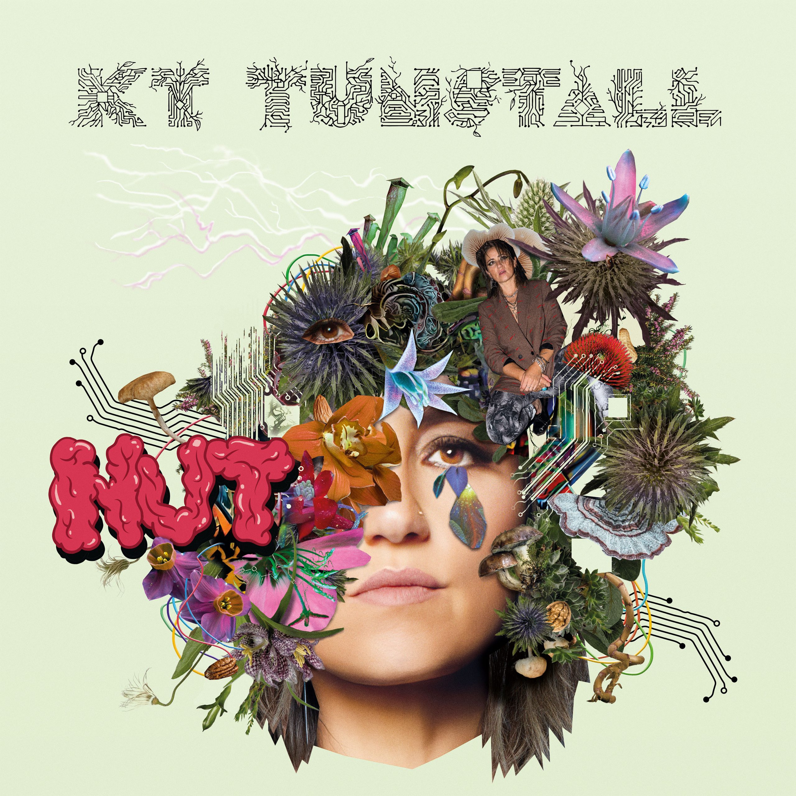 KT_Nut_Cover