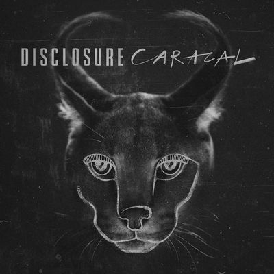 Disclosure – Holding On