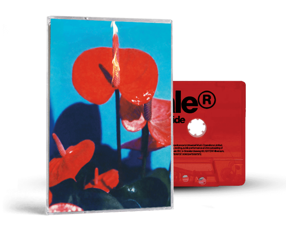 Open Wide<br>Store Exclusive Cassette